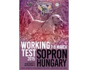 Working test Sopron 7.-8.3.2015, Maďarsko
