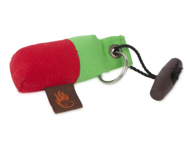 Firedog Keychain minidummy light green/red