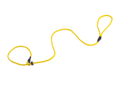 Firedog Moxon leash Classic 6 mm 150 cm yellow