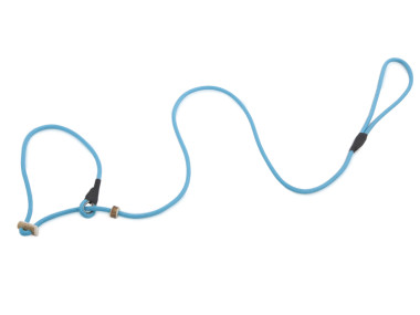 Firedog Moxon leash Profi 6 mm 150 cm aqua blue with double hornstop