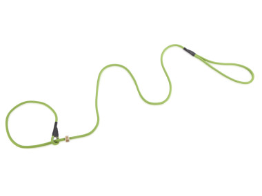 Firedog Moxon leash Profi 6 mm 130 cm light green