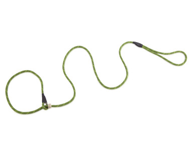 Firedog Moxon leash Profi 6 mm 130 cm light green/black