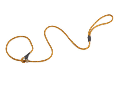 Firedog Moxon leash Profi 6 mm 150 cm orange/black