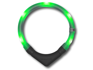 LEUCHTIE Plus LED svietiaci obojok zelený transparentný 60 cm