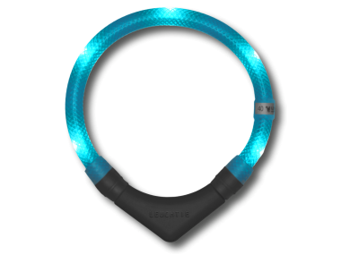 LED Light dog collar LEUCHTIE Plus turquoise 37,5 cm