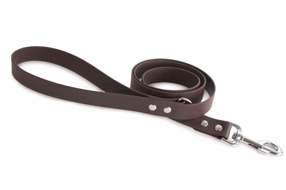 biothane dog lead