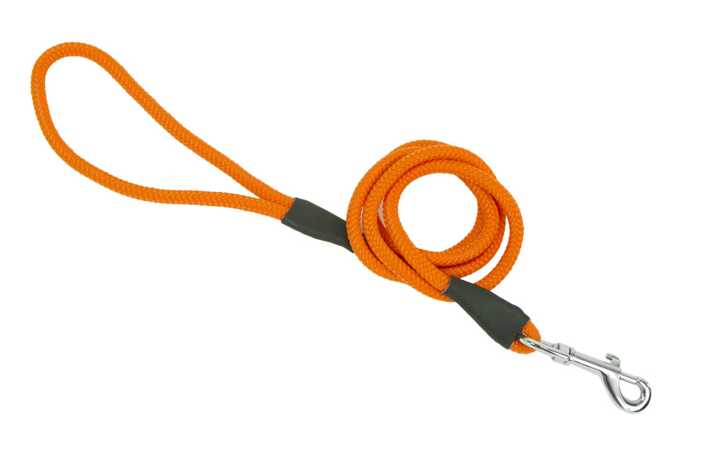 Firedog Hundeleine mit Karabiner 8 mm 150 cm leuchtend orange - 8CL150-10 -  8585041156326 | FIREDOG