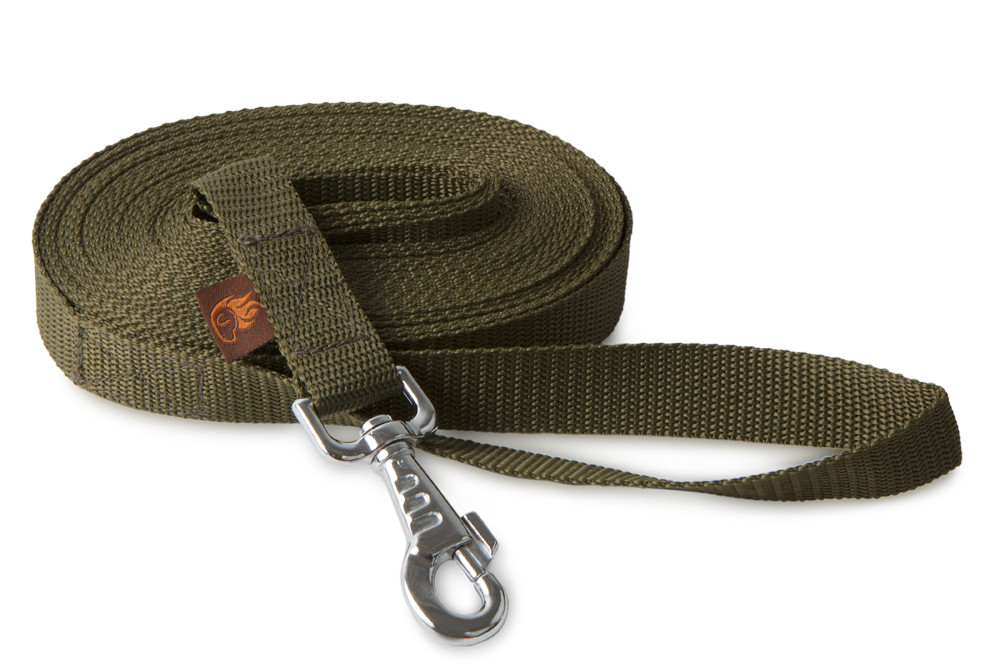 Dog tracking discount leash