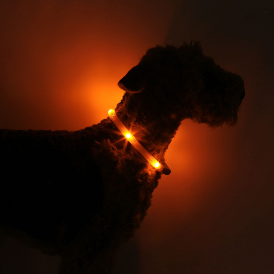 LED Light dog collar LEUCHTIE Easy Charge USB sunset orange 45 cm LEUPLPEC45 SO 4049856032458 FIREDOG