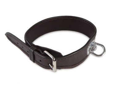 Blood tracking leather collar 65 cm brown