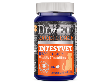 Dr.VET Excellence INTESTVET pomoc pri hnačke 40 tabliet