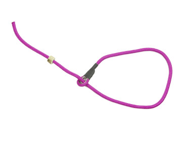 Firedog Moxon krátke kontrolné vodítko Classic 6 mm 80 cm purpurové