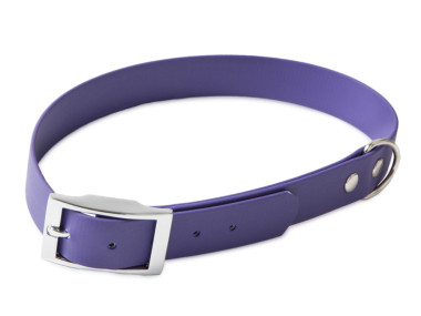 Firedog BioThane collar Basic 25 mm 35-43 cm violet