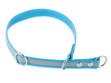 Firedog BioThane collar Sport Reflect 25 mm 65 cm turquois