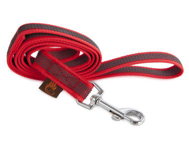 Firedog Grip dog leash 20 mm 2 m with handle red