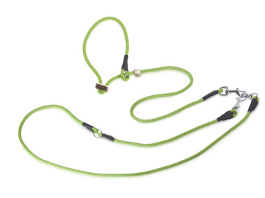 Firedog Hunting leash 8 mm L 345 cm moxon with double hornstop light green