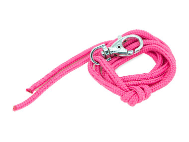 Firedog Lanyard nylon pink