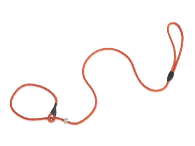 Firedog Moxonleine Classic 6 mm 150 cm orange reflektierend