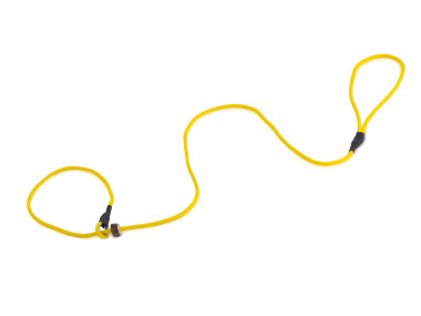 Firedog Moxonleine Classic 6 mm 130 cm gelb