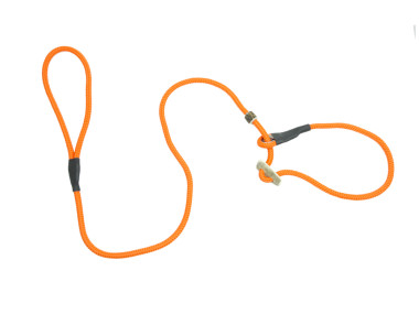 Firedog Moxon leash Classic 8 mm 130 cm bright orange with double hornstop