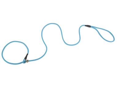 Firedog Moxon leash Profi 6 mm 150 cm aqua blue