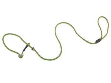 Firedog Moxon leash Profi 6 mm 130 cm light green/black with double hornstop