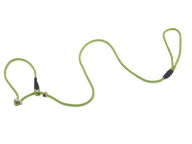 Firedog Moxon leash Profi 6 mm 130 cm light green with double hornstop