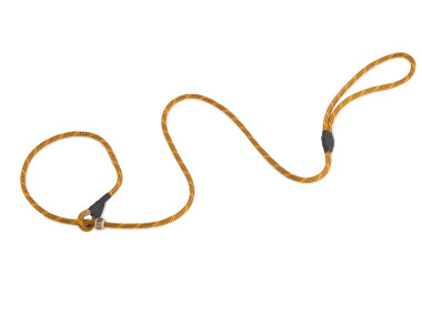 Firedog Moxonleine Profi 6 mm 150 cm orange/schwarz