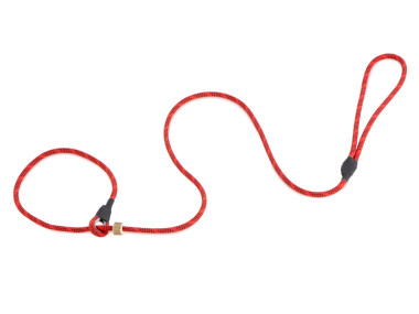 Firedog Moxon leash Profi 6 mm 150 cm red/black