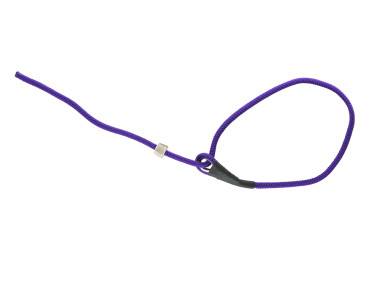 Firedog Moxon Short control leash Classic 6 mm 65 cm violet