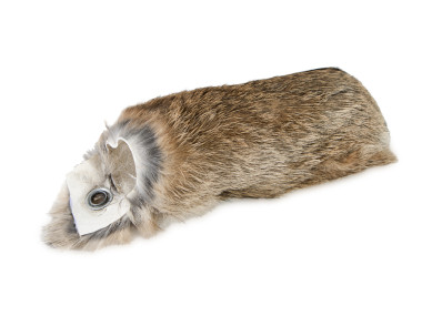 Firedog Kaninchenfellüberzug für Dummy 250 g 