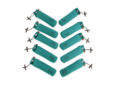 Firedog 10-er Set Standard Dummy 500 g grün nummeriert 1-10 
