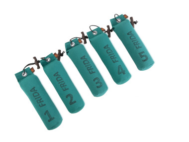 Firedog 5-er Set Standard Dummy 500 g grün nummeriert 1-5 + Name