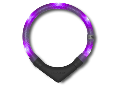 LED Light dog collar LEUCHTIE Plus lavender transparent tube 52,5 cm