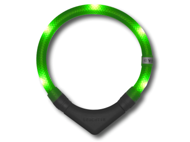 LED Light dog collar LEUCHTIE Plus neon green 37,5 cm