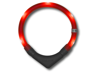 LED Light dog collar LEUCHTIE Plus red 52,5 cm phosphorent battery pack