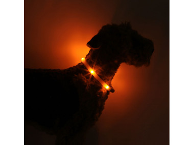 LED Light dog collar LEUCHTIE Easy Charge USB sunset orange 52,5 cm