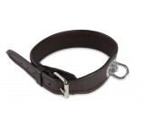 leather collars